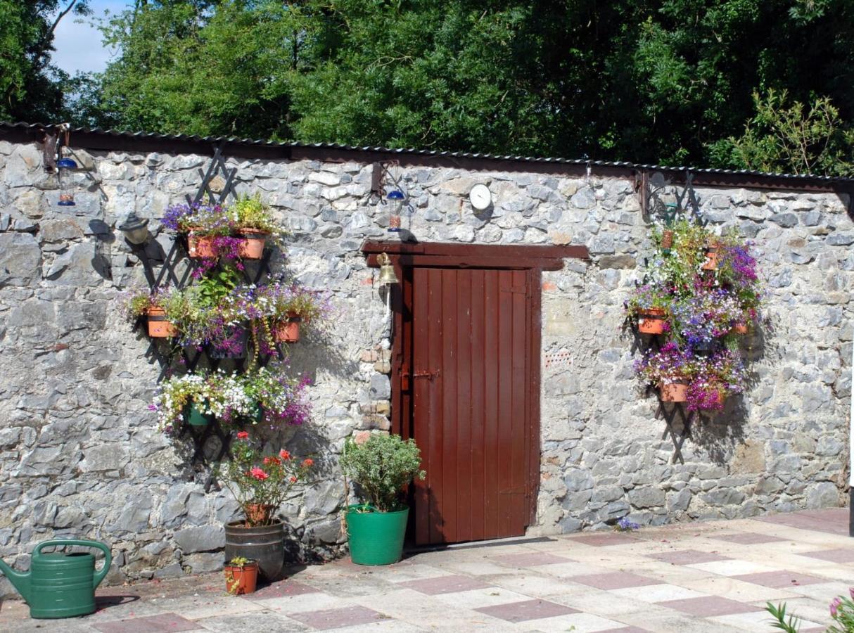 Desart School Garden Kilkenny