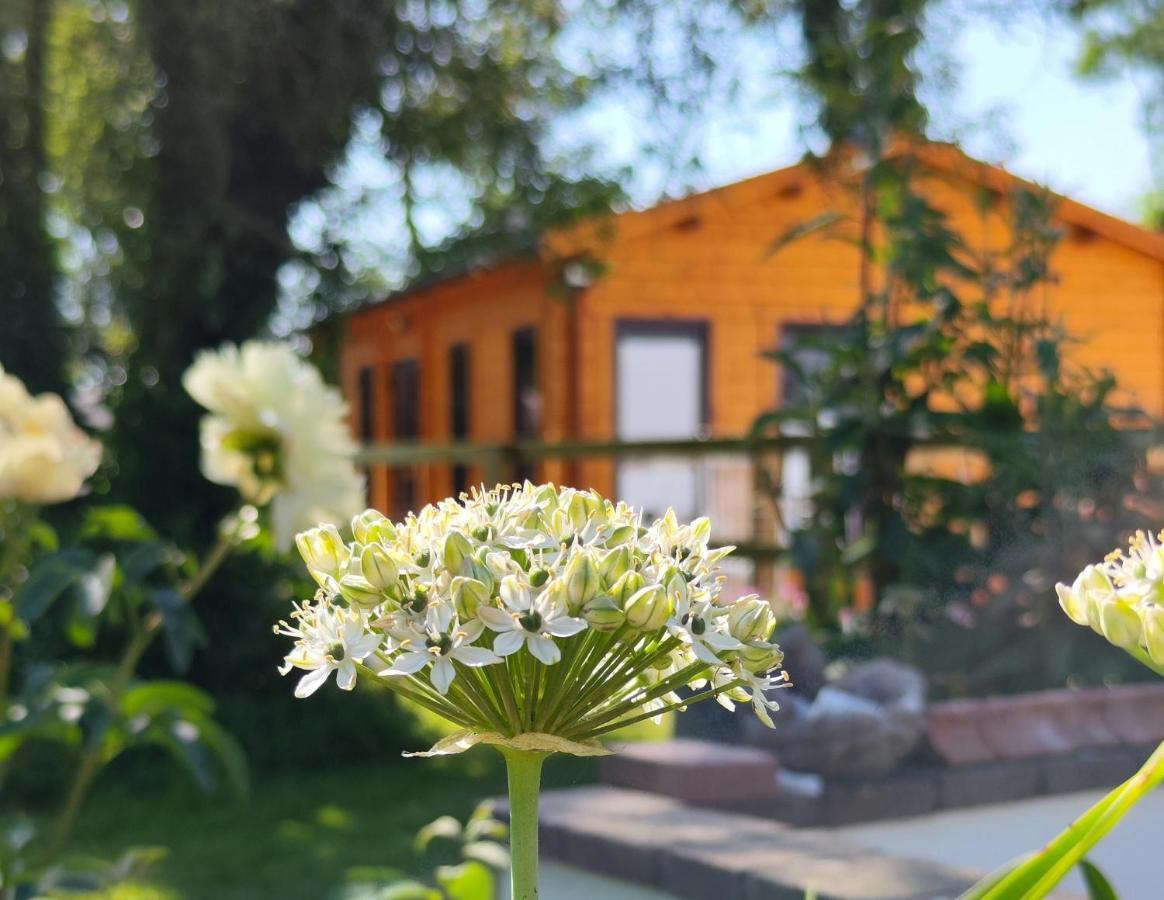 Chalet Desart School Garden